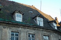  Little trees are growing out of the roof.  Those are wooden shingles.  This building must have been wonderful at one time.  Hopefully it will be again soon.