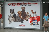  A dog and cat food ad at the train station.  Just another silly picture showing life in Germany.