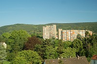  To the west are the hills of a large nature preserve.  Back behind me to the east is the very flat plain of the Rhine River, which is about 20 miles away.